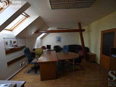 Pronájem kanceláře Prostějov, Domamyslická č. 2