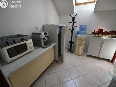 Pronájem kanceláře Prostějov, Domamyslická č. 4