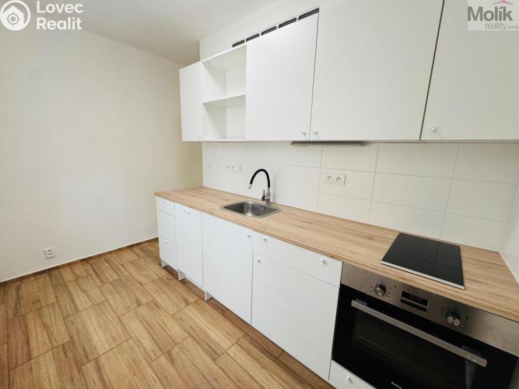 Pronájem bytu 2+1 Most, Maxe Švabinského 2638/16 č. 2