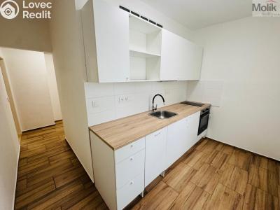 Pronájem bytu 2+1 Most, Maxe Švabinského č. 1