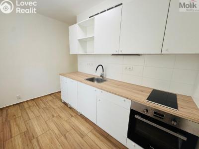 Pronájem bytu 2+1 Most, Maxe Švabinského č. 2