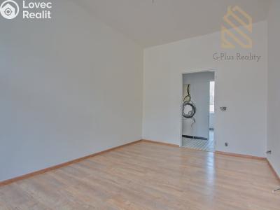 Sale apartment 3+KK Litoměřice, Velká Dominikánská č. 6