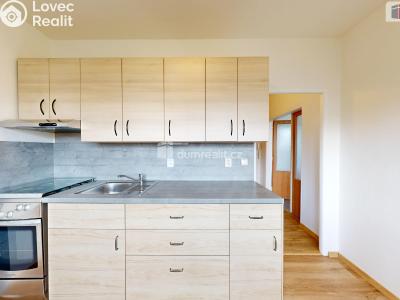 Sale apartment 1+1 Opava, Grudova č. 1