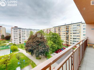 Sale apartment 1+1 Opava, Grudova č. 3