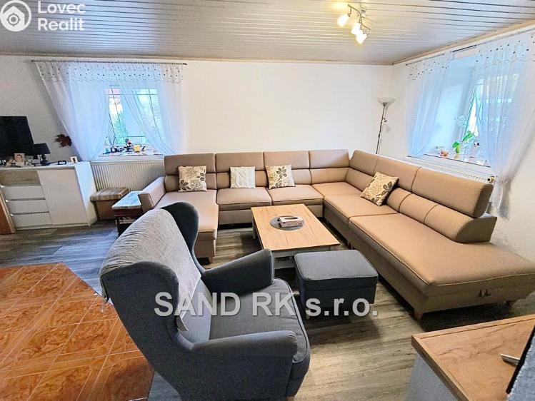 Sale family house Bor č. 4
