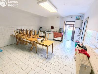 Sale family house Bor č. 11
