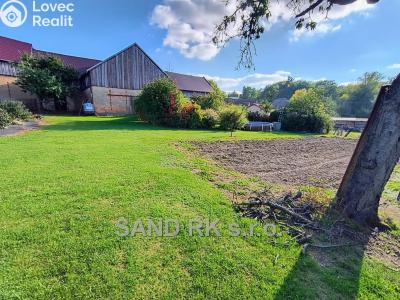 Sale family house Bor č. 26