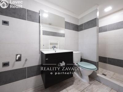 Продаж сімейного будинку Jankov č. 15