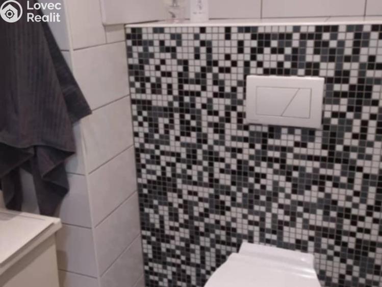 Prodej bytu 1+KK Budišov nad Budišovkou, Na Sídlišti č. 17