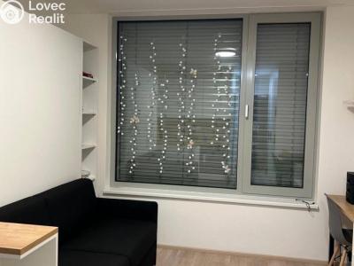 Pronájem bytu 1+KK Praha, Plzeňská č. 4