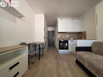 Оренда квартири 1+KK Praha, Plzeňská č. 19