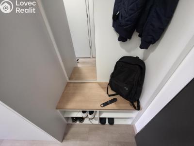 Pronájem bytu 1+KK Praha, Plzeňská č. 6