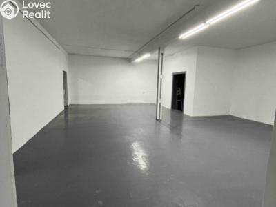 Rent warehouse Aš, Okružní č. 9