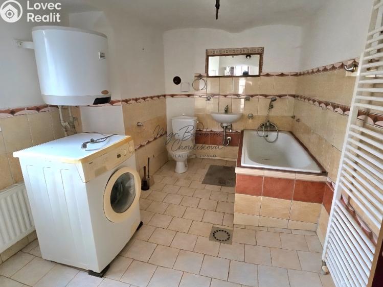 Продажа семейного дома Svojšín č. 22