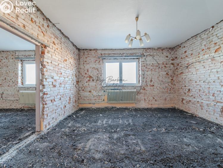 Продажа семейного дома Dnešice č. 8