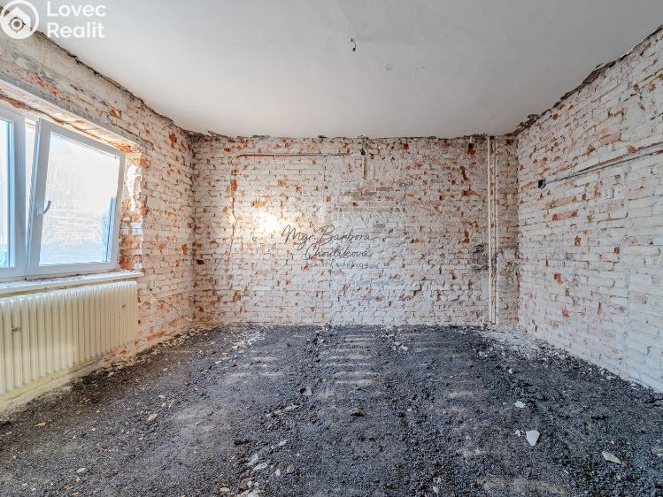 Продажа семейного дома Dnešice č. 10