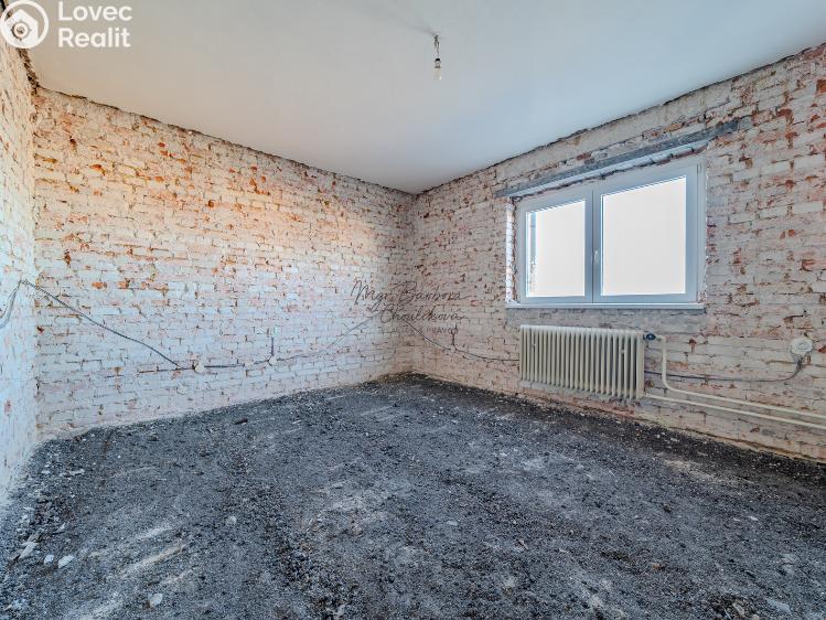 Продажа семейного дома Dnešice č. 11