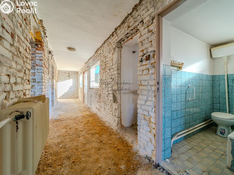 Продажа семейного дома Dnešice č. 13