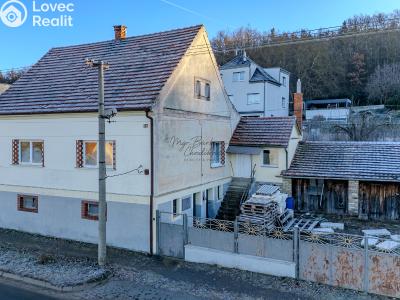 Продажа семейного дома Dnešice č. 1