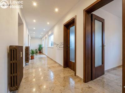 Продажа семейного дома Dnešice č. 5