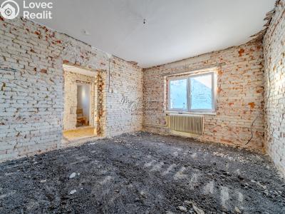 Продажа семейного дома Dnešice č. 6