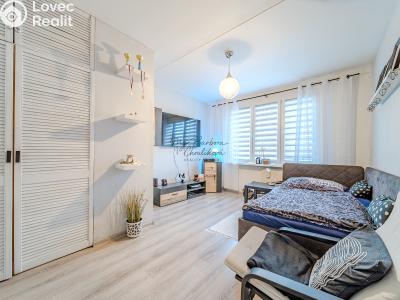 Продажа квартиры 4+1 Plzeň č. 8
