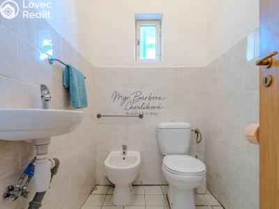 Продажа семейного дома Starý Plzenec, Hálkova č. 18
