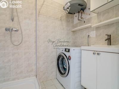 Продажа семейного дома Starý Plzenec, Hálkova č. 19