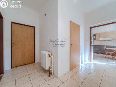 Продажа семейного дома Starý Plzenec, Hálkova č. 22