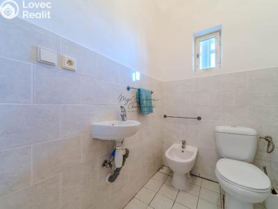 Sale family house Starý Plzenec, Hálkova č. 17
