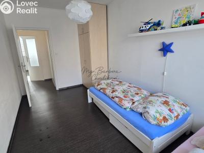 Pronájem bytu 4+1 Plzeň č. 16