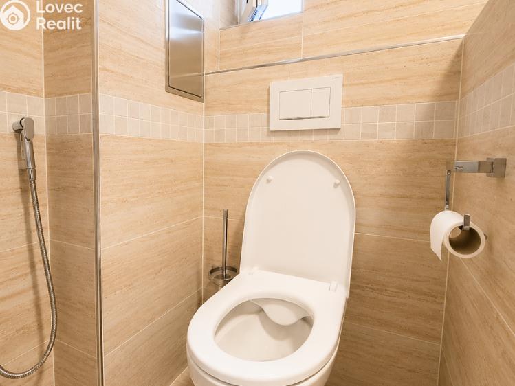 Pronájem bytu 2+KK Blovice č. 10