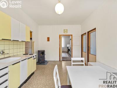 Продажа семейного дома Rakovník, Alešova č. 10