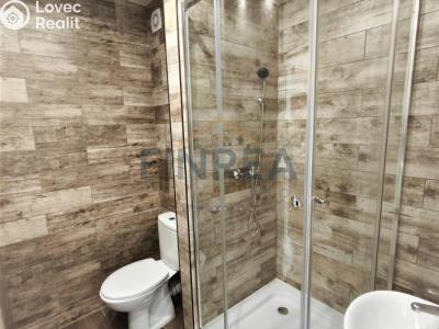 Rent apartment 1+KK Chomutov, Seifertova č. 10