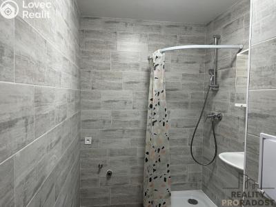 Sale apartment 2+1 Ústí nad Labem, Jindřicha Plachty č. 9