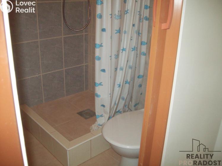 Prodej rodinného domu Chabařovice, V Aleji č. 10
