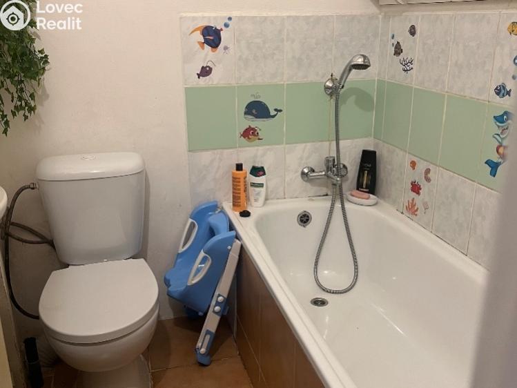 Prodej rodinného domu Chabařovice, V Aleji č. 16