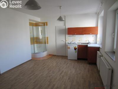 Rent apartment 1+KK Zlín, Štefánikova č. 1