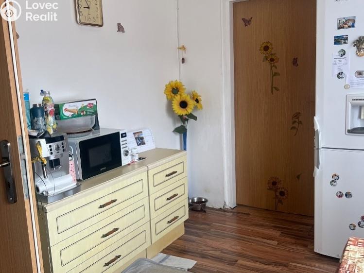 Prodej činžovního domu Chabařovice, V Aleji č. 15