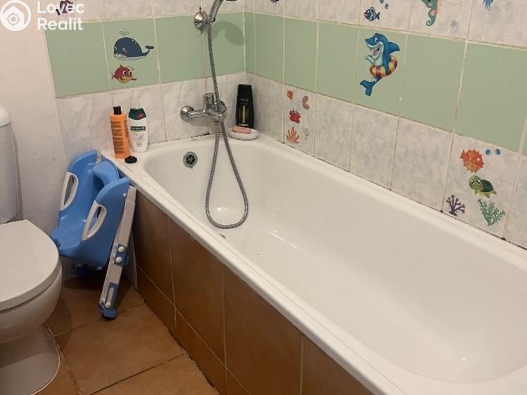 Prodej činžovního domu Chabařovice, V Aleji č. 17
