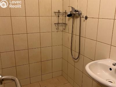 Продажа многоквартирного дома Chabařovice, V Aleji č. 8