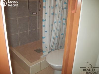 Продажа многоквартирного дома Chabařovice, V Aleji č. 10
