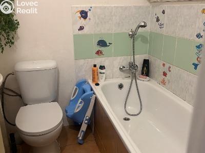 Продажа многоквартирного дома Chabařovice, V Aleji č. 16
