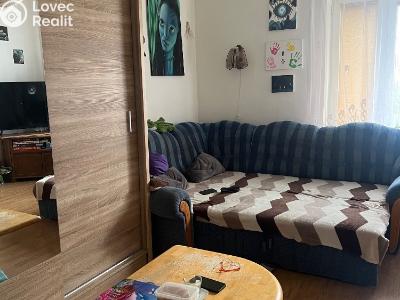 Продажа многоквартирного дома Chabařovice, V Aleji č. 18
