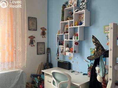 Продажа многоквартирного дома Chabařovice, V Aleji č. 21