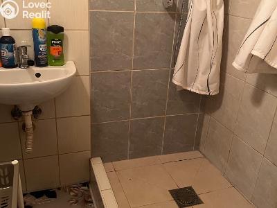 Продажа многоквартирного дома Chabařovice, V Aleji č. 24