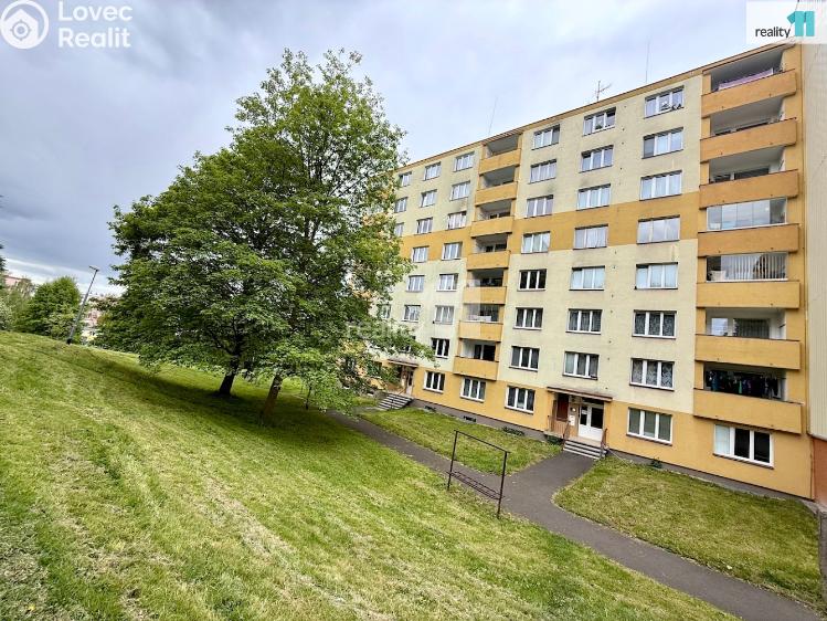 Pronájem bytu 2+1 Sokolov, Švabinského č. 14
