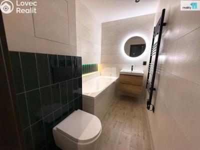 Pronájem bytu 2+1 Sokolov, Švabinského č. 6