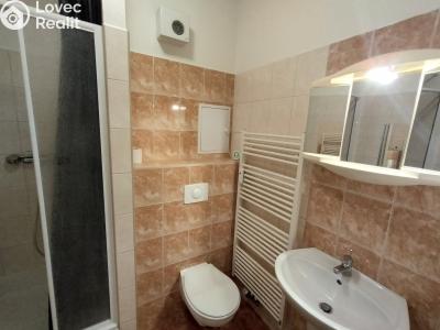 Аренда квартиры 1+KK Pardubice, Pod Studánkou 751 č. 5