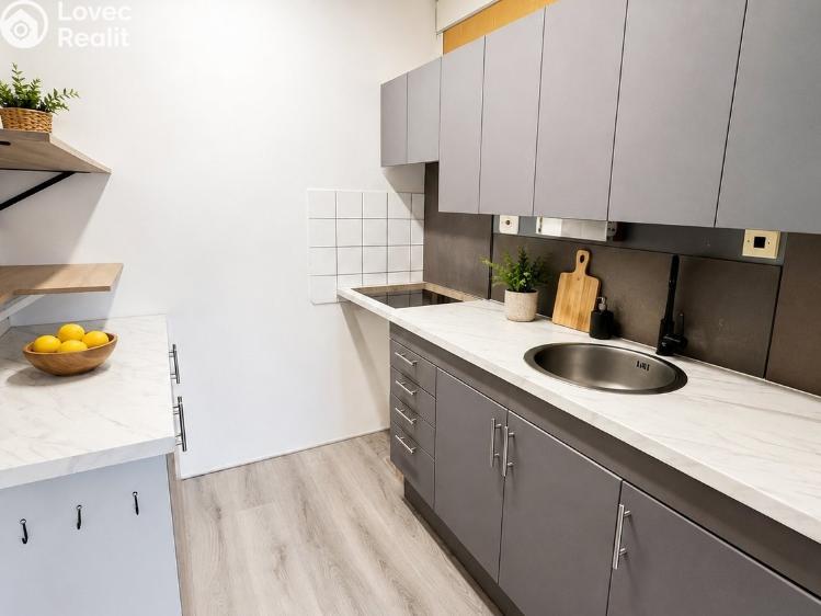 Rent apartment 2+KK Dobříš, K Vodárně č. 5